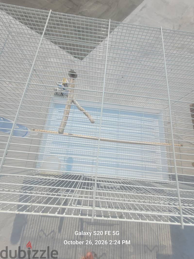 large cage with everything you need 5