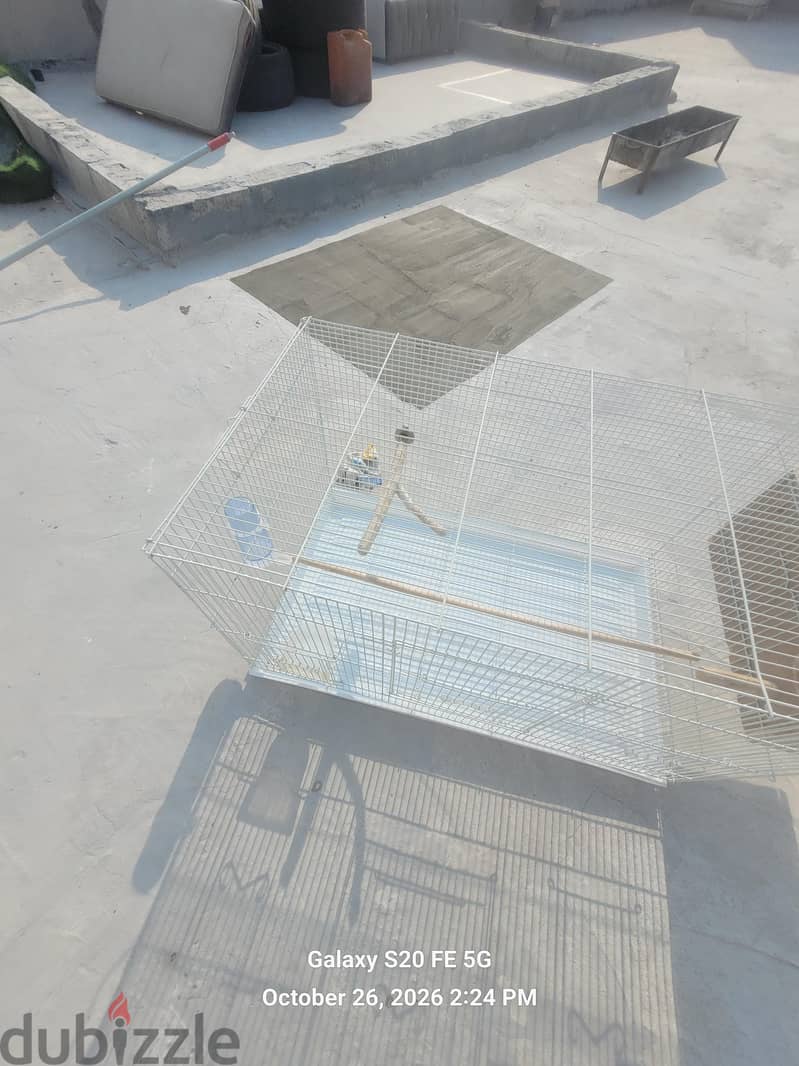 large cage with everything you need 7