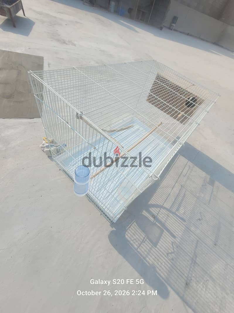 large cage with everything you need 8