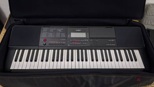 For sale: Casio CT-X700 plug and Play