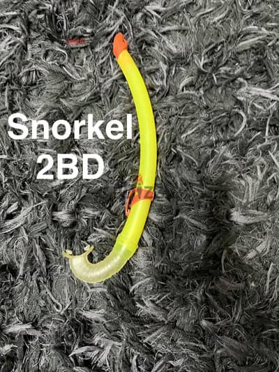 Snorkel