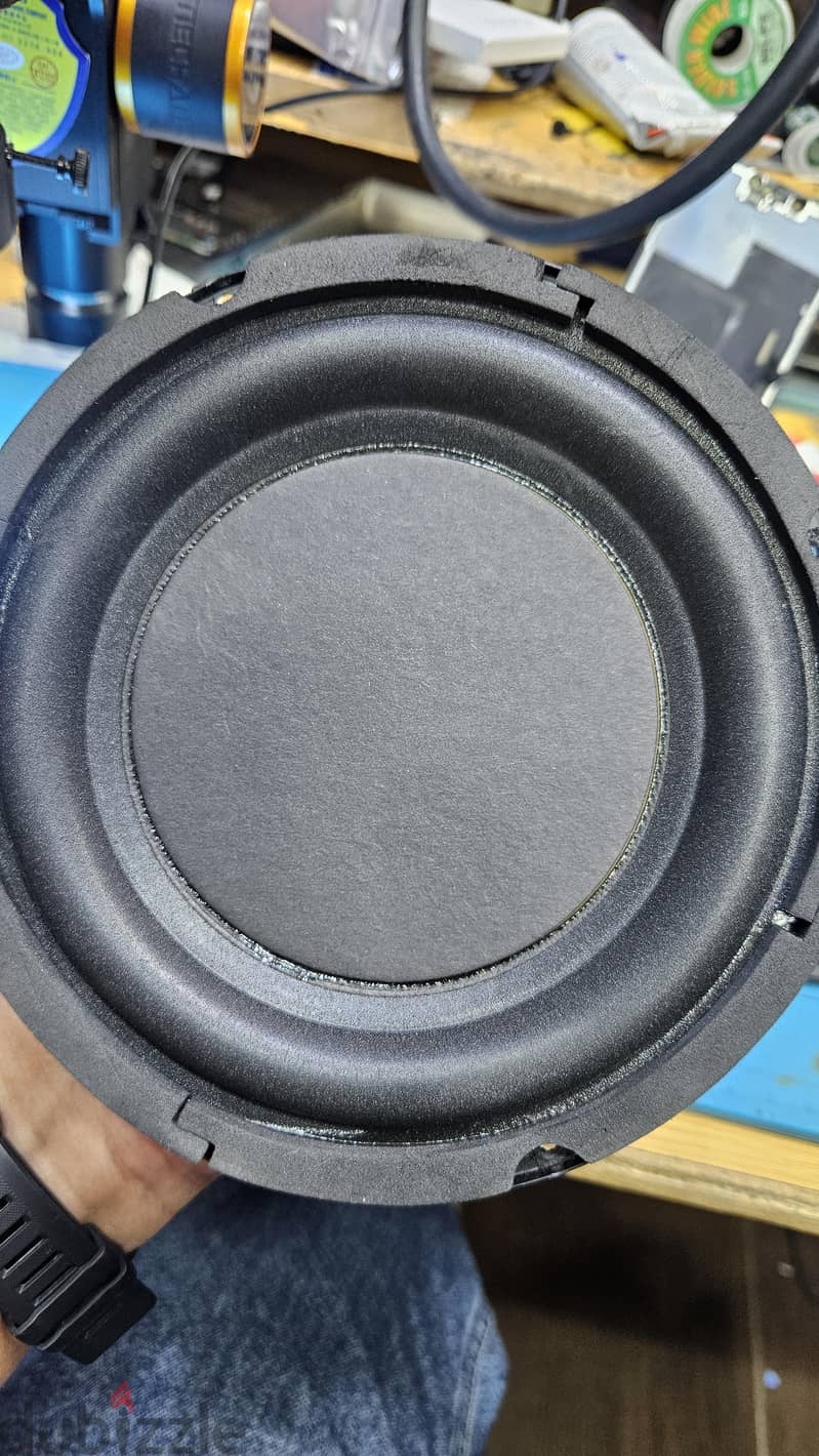 SUB Speaker 5