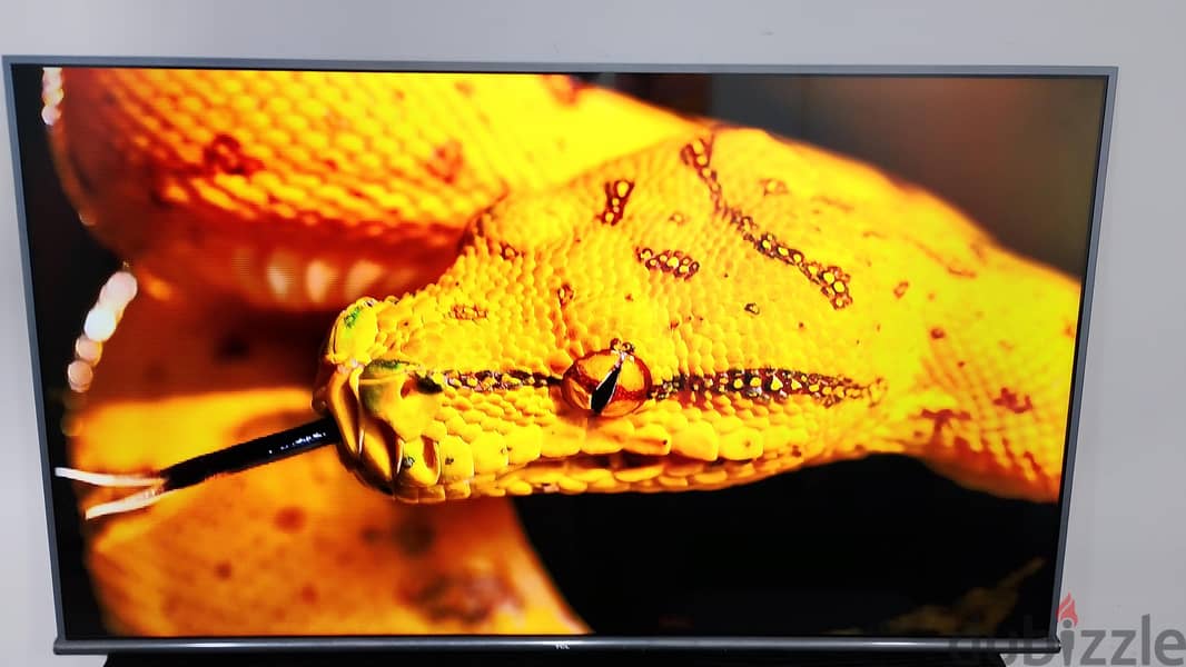 TCL 55" android smart tv 4k ( whtsp only 34248448 1