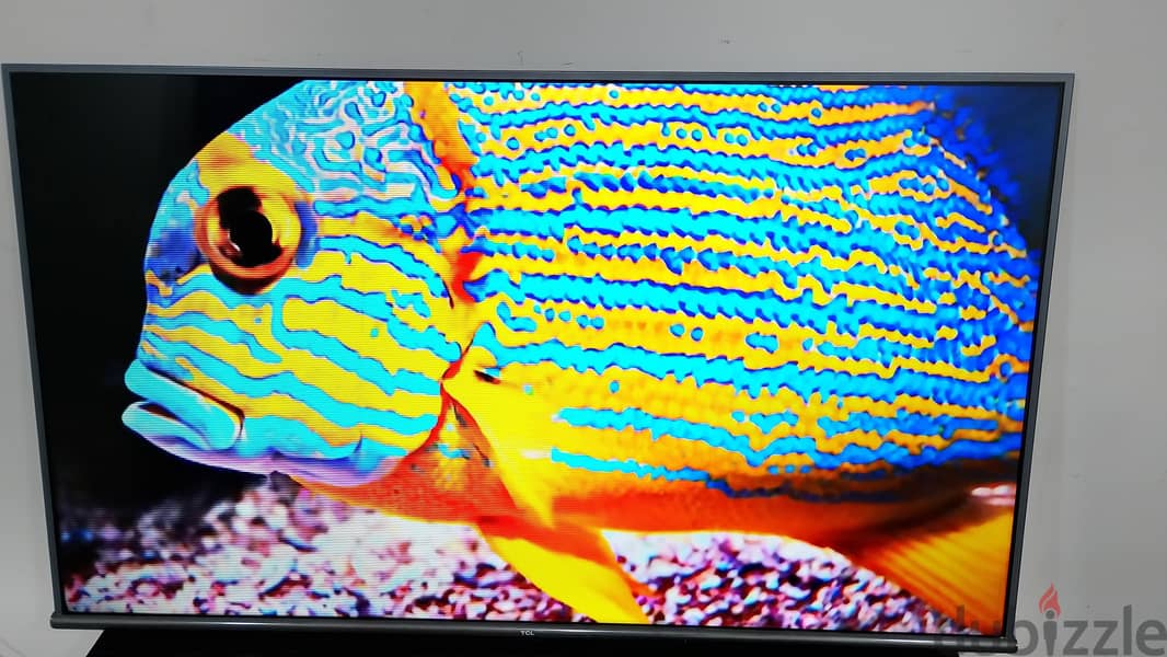 TCL 55" android smart tv 4k ( whtsp only 34248448 2