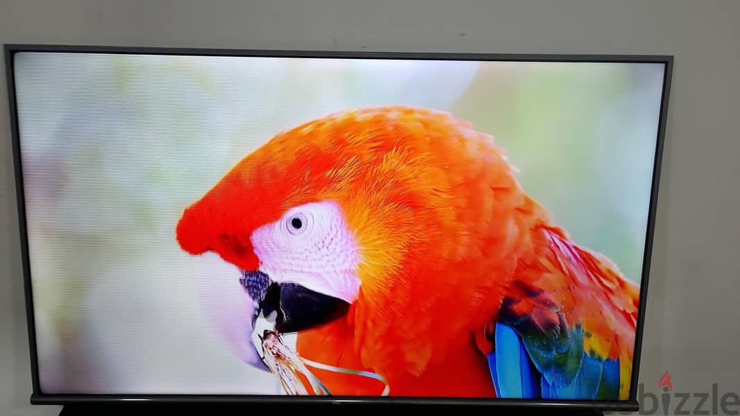 TCL 55" android smart tv 4k ( whtsp only 34248448 3