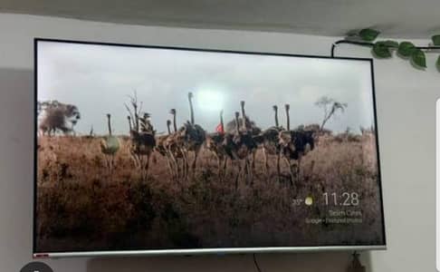 55"LED SLIM NEW CONDITION