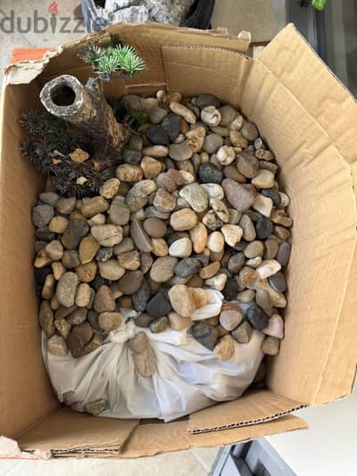 Pebbles and earthen pot ( aquarium)