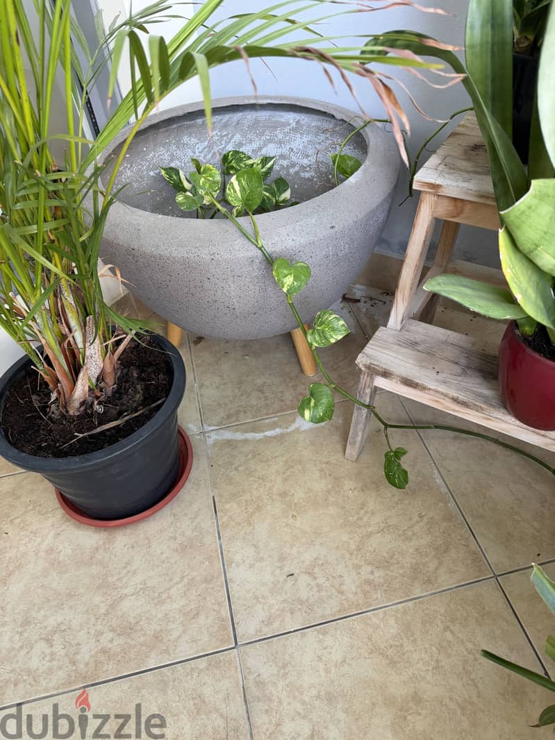Pebbles and earthen pot ( aquarium) 1