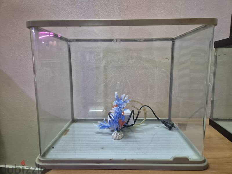 fish tank aquarium 1