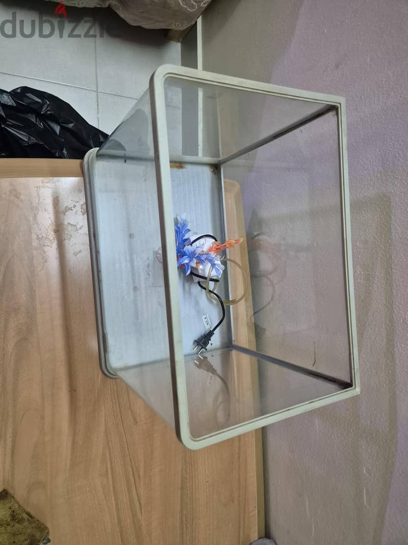fish tank aquarium 2