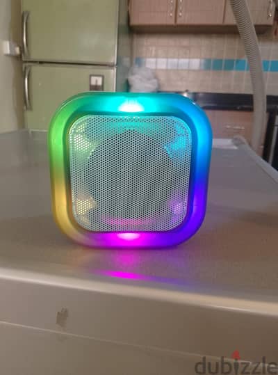 Mini hand carry speaker
