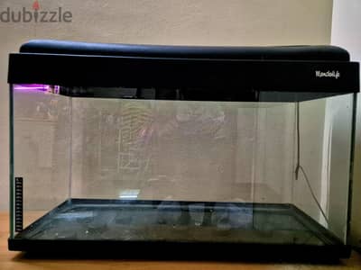 fish tank , Aquarium