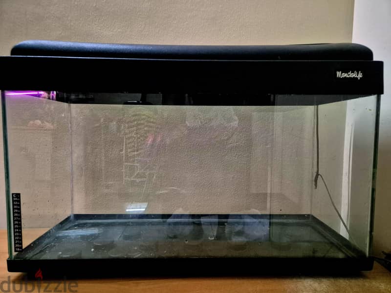 fish tank , Aquarium 1