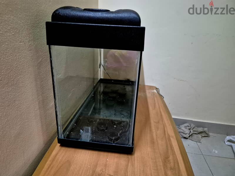 fish tank , Aquarium 2