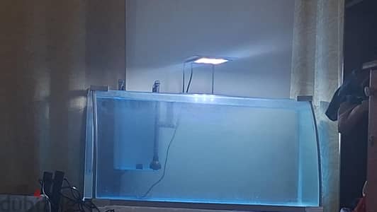 big tank