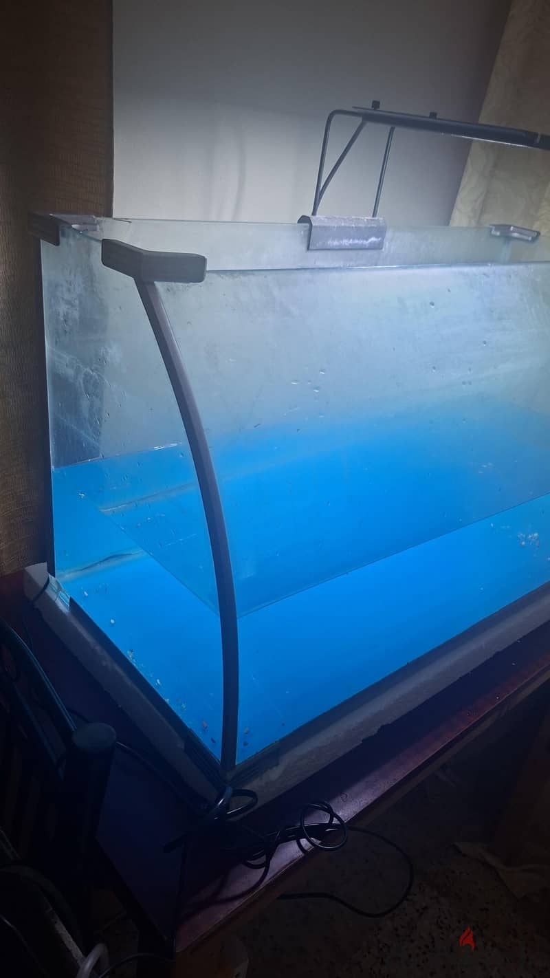 big tank 2