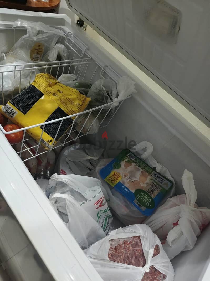 Hisense Large Size Freezer 10/10 2