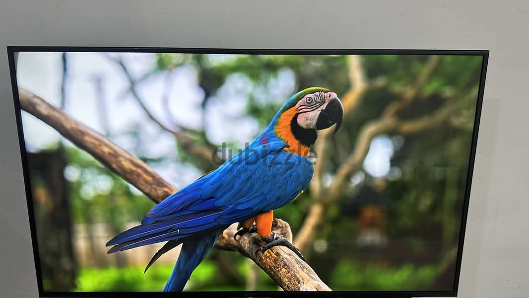 Sony 65" inch smart Android tv 4k ( whatsp only 34248448) 1