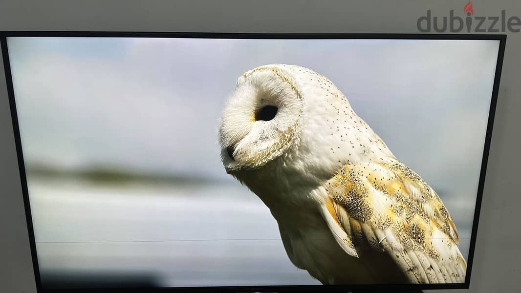 Sony 65" inch smart Android tv 4k ( whatsp only 34248448) 2
