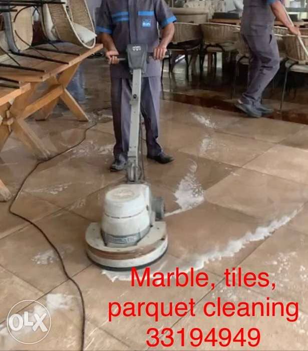 Cleaning, sanitising and pest control 2