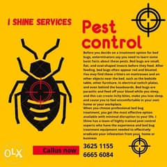 Pest control services in Bahrain 0