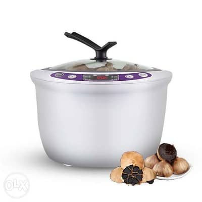 Black garlic maker