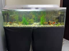 Aquarium tank 0
