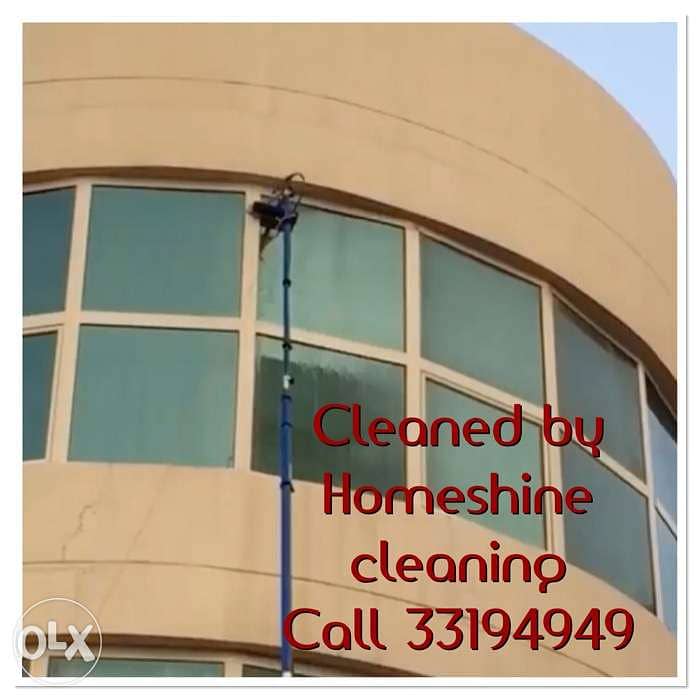 Professional cleaning and pest control 2