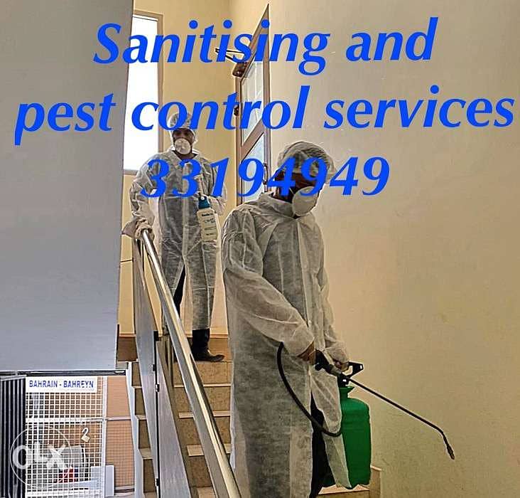 Professional cleaning and pest control 6