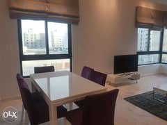 Excellent Fully Furnished 3 Bedroom Apartment In Janabiyah 0