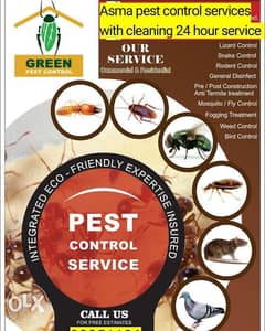 Asma pest control services with cleaning 24 hour All Bahrain services 0