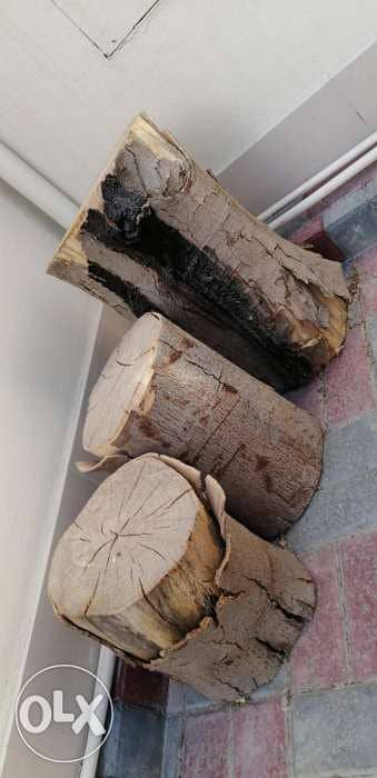 Tree trunk for sale 1