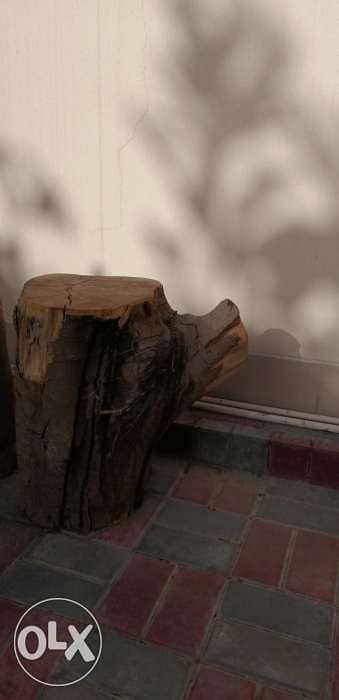 Tree trunk for sale 2
