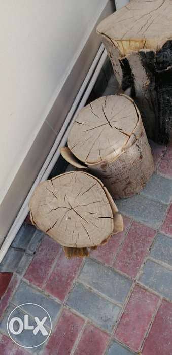 Tree trunk for sale 3