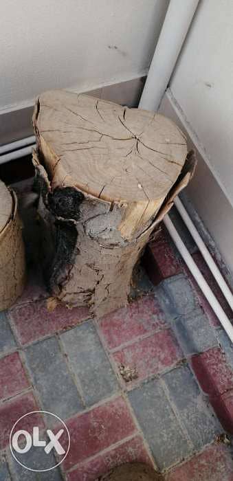 Tree trunk for sale 4