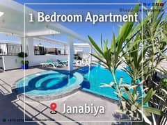 modern fully furnished apartment janabiya 0