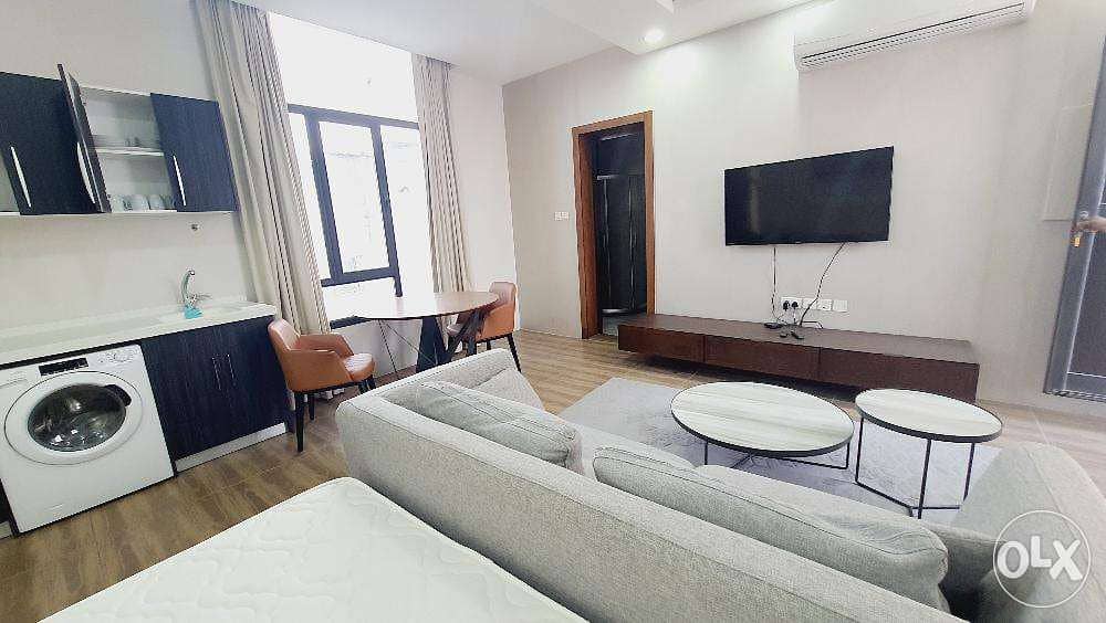 Luxury Studio Apartment for Rent in Roof Top /saar 1