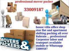 (PROFESSIONAL MOVER PACKER) moving packing cargo servi 0