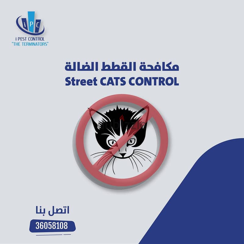 Bahrain Pest Control Serice - Best Offer - Call Now 8