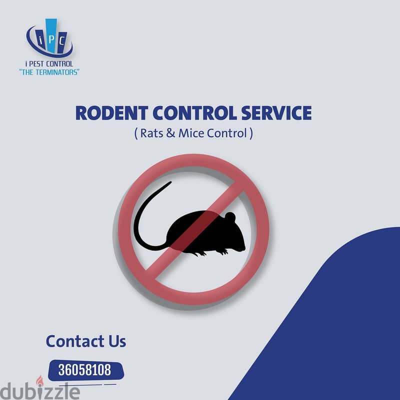 Bahrain Pest Control Serice - Best Offer - Call Now 11