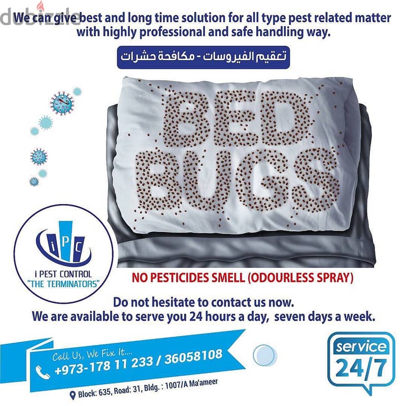 Bahrain Pest Control Serice - Best Offer - Call Now 16