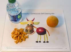 For Sale! Self-Cleaning Student Desk/Place Mat (9"x12") 0