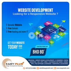 Website Development 0