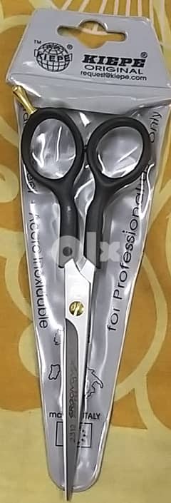 Salon scissors