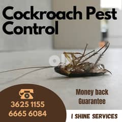 Pest control services with money back guarantee 0