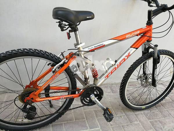 Triax 29 mountain online bike