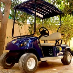 Golf Cart - Blue Marshell DG-C2-5 Electric 2 Seater Gulf Car عربة جولف 0